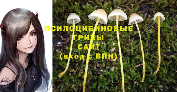 соль курить ск Алексеевка