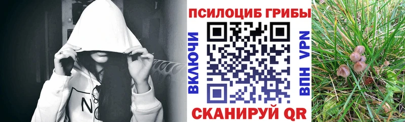 Галлюциногенные грибы ЛСД  Павлово 