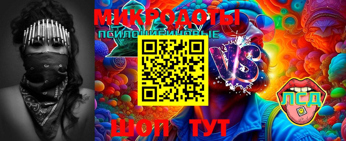 дарнет шоп  Псилоцибиновые грибы мухоморы  Вход с VPN  Павлово 